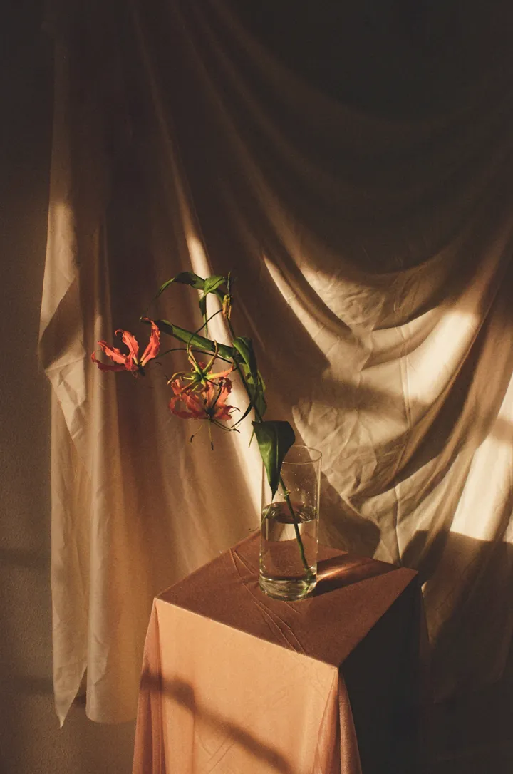 Still life of flowers on a draped table, shot on film